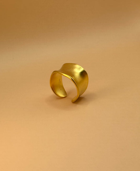 Chunky Adjustable AlterEgo Ring, 925 Sterling Silver, 18K Gold, Front View. minimalist ring