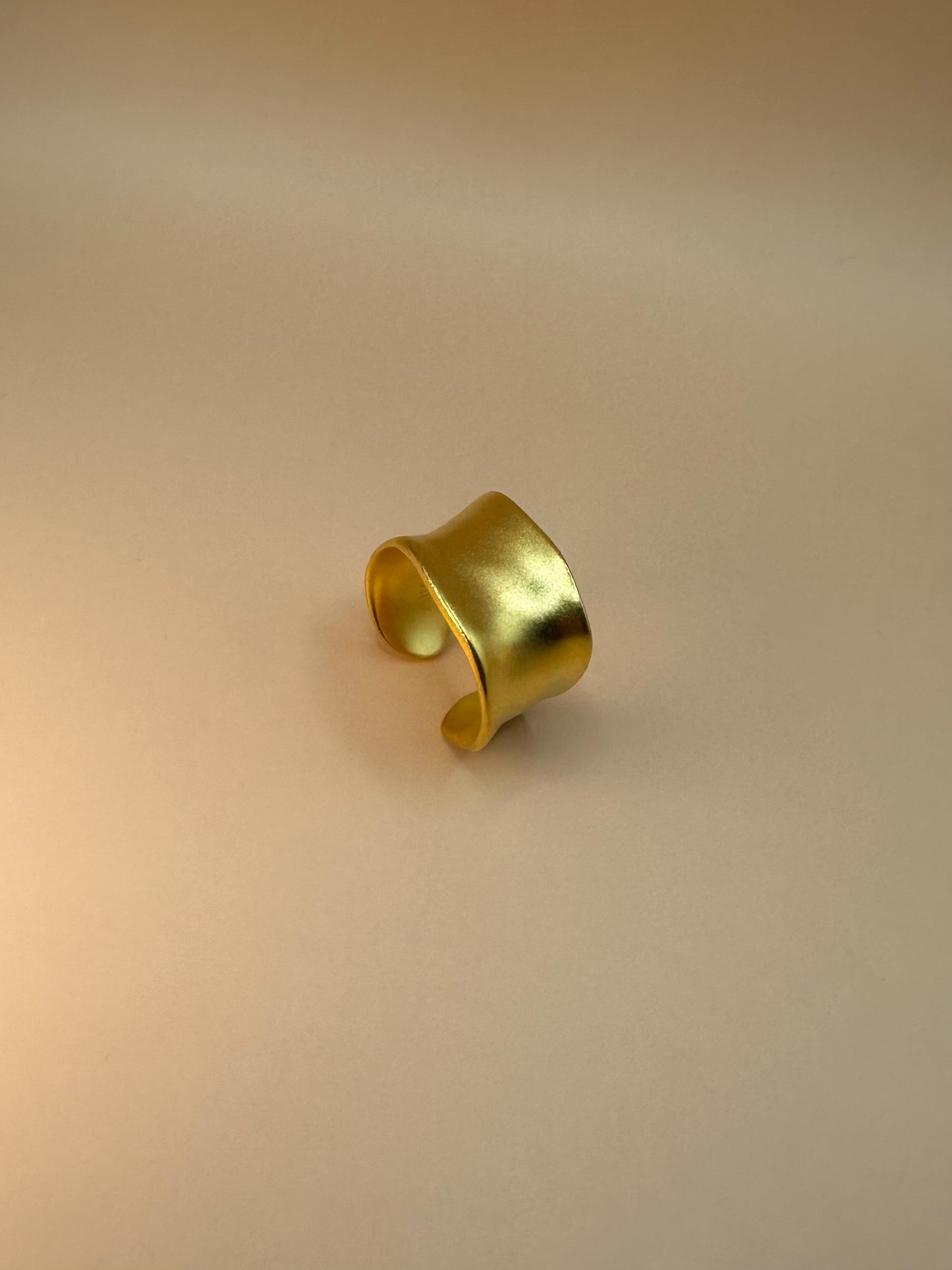 Chunky Adjustable AlterEgo Ring, 925 Sterling Silver, 18K Gold, Top View. minimalist ring